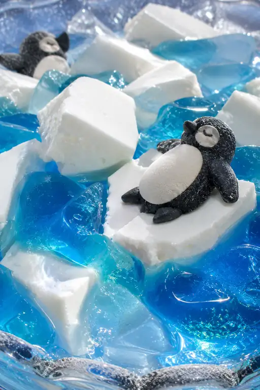 Penguins Dream upon the Midsummer Ice Floes