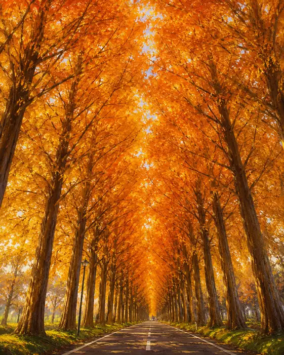 The Golden Road That Lights the Wind's Memory