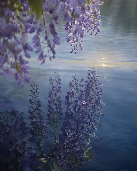 Wisteria Reflected in the Quiet Pool