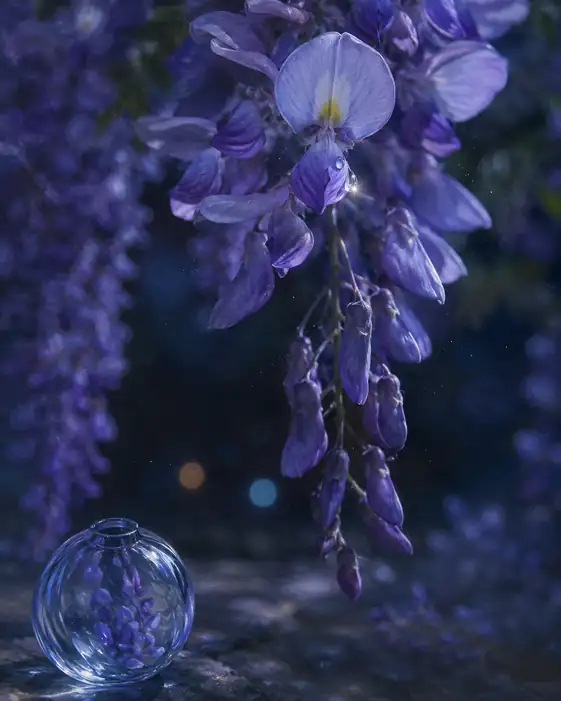 Reflections in the Cobalt Vessel