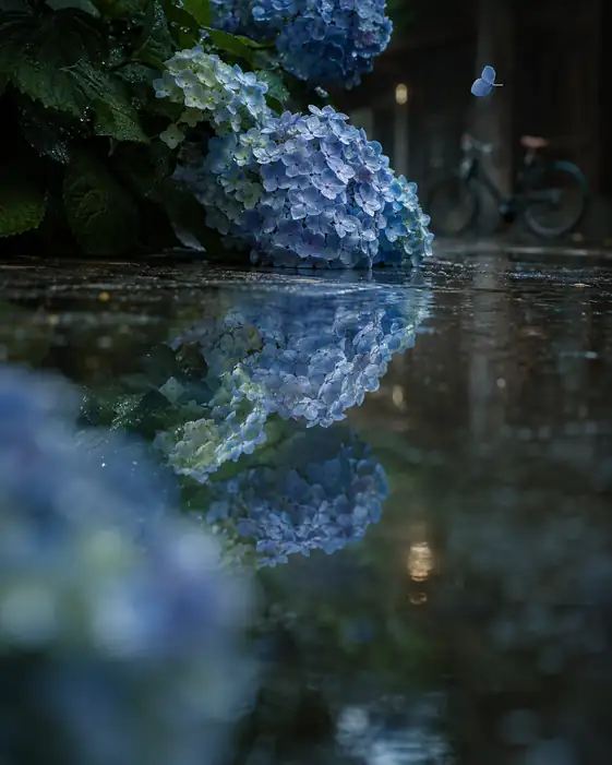 Suspended Moment Above the Water