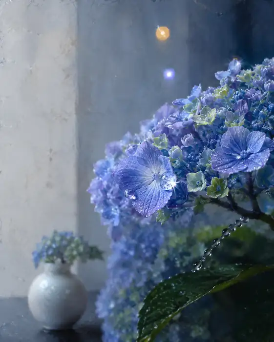 White Porcelain and the Rain-Soaked Bloom