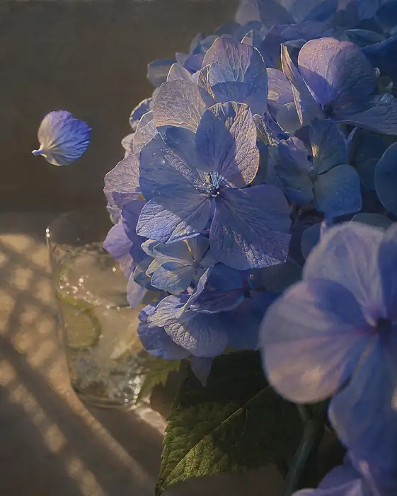 Summer Evening Glass and Drifting Petals