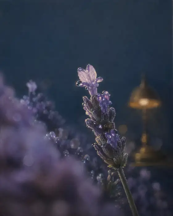 Scent of Lavender in the Brass Light