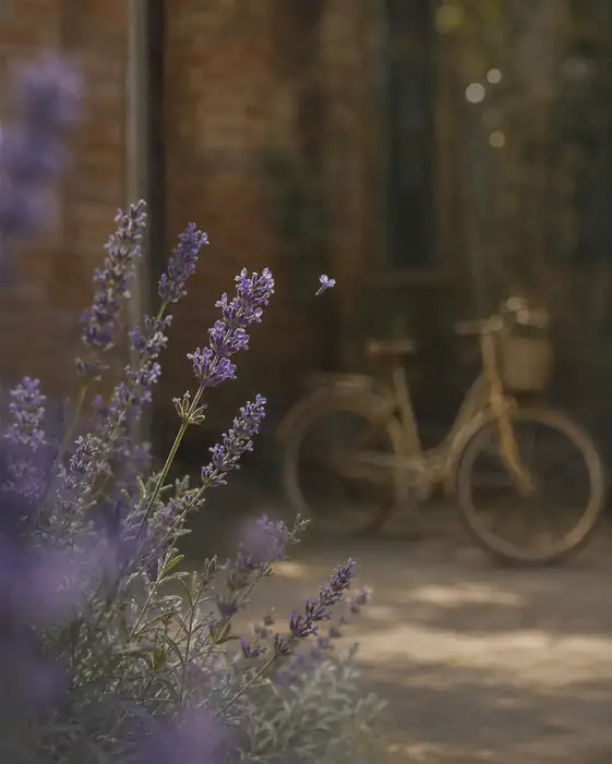 Memory of Lavender on a Cobblestone Street