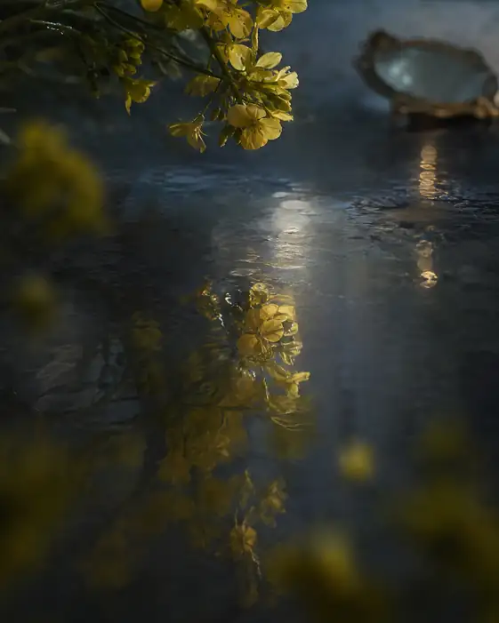 Yellow Blossoms and the Vintage Mirror