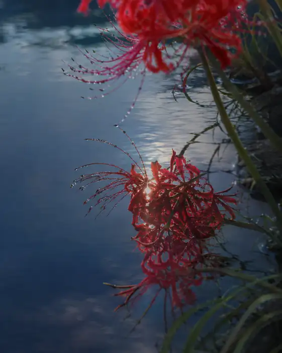 Twilight Solitude by the Waters