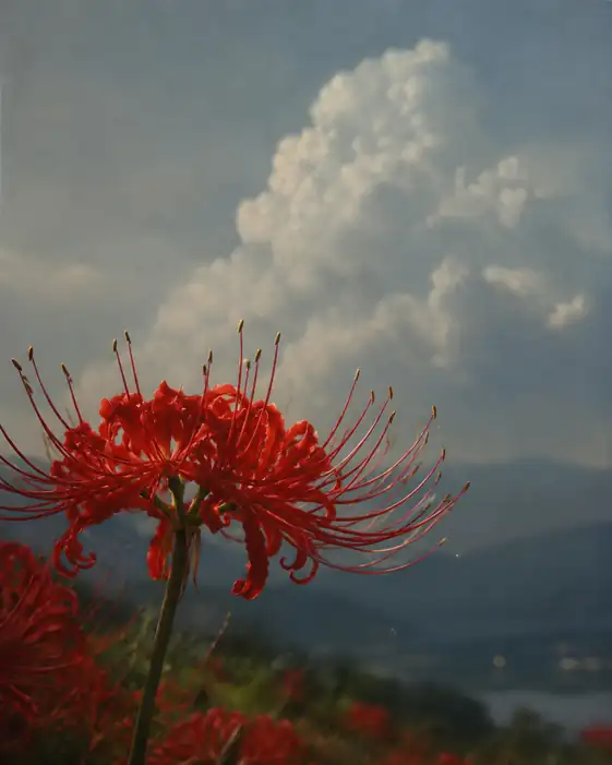 Solitary Flame Beneath the Clouds