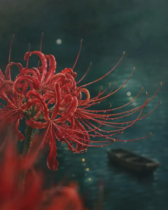 Red Lycoris and the Wooden Skiff