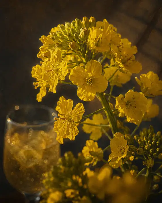 Canola Bouquet by Sparkling Glass