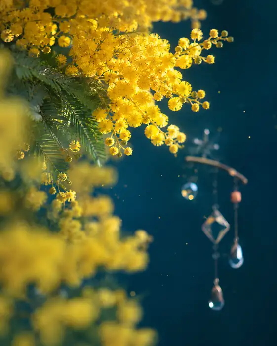 Golden Mimosa and Crystal Suncatcher