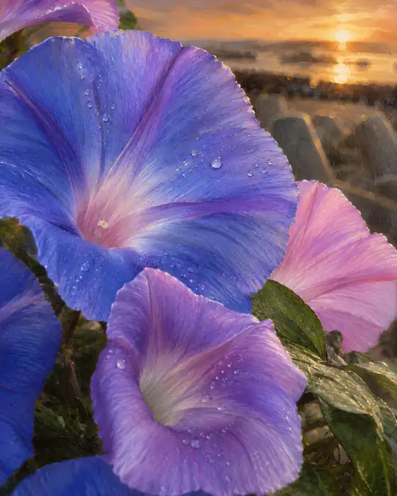 Evening Glory by the Sunlit Coast
