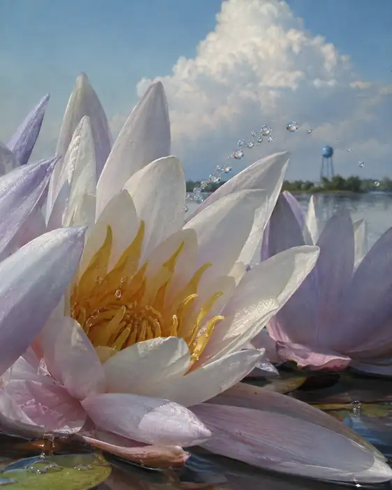 Water Lily and Droplets beneath the Summer Cloud