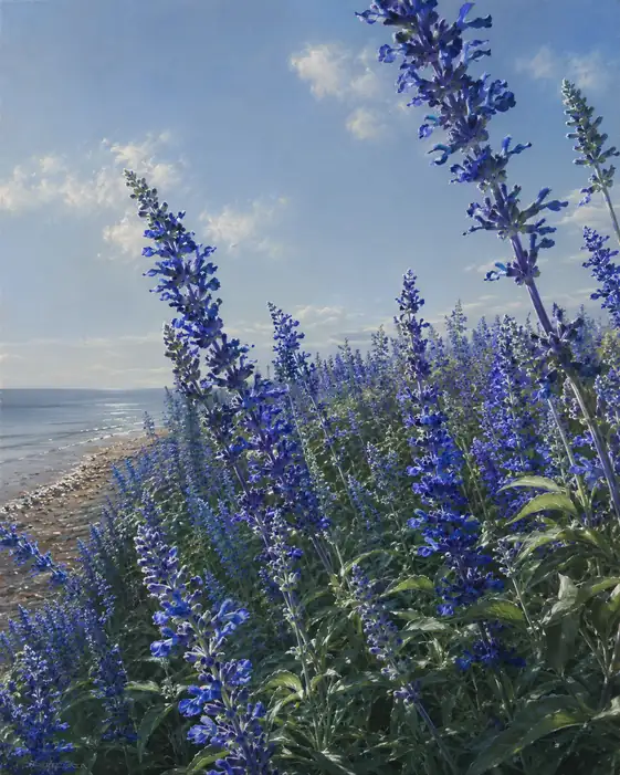 Sea Breeze upon the Azure Coast