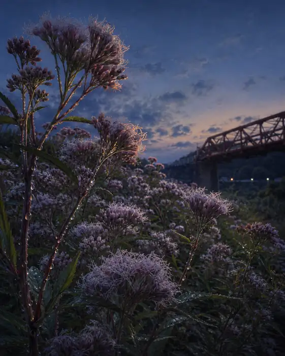 Dew Threads at Twilight and the Iron Bridge
