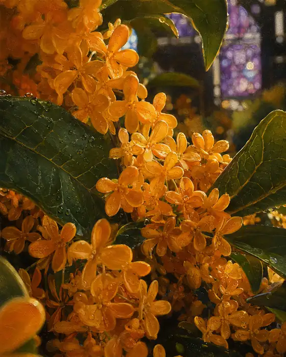 Fragrant Osmanthus in Raindrops and Prayer of Colored Light