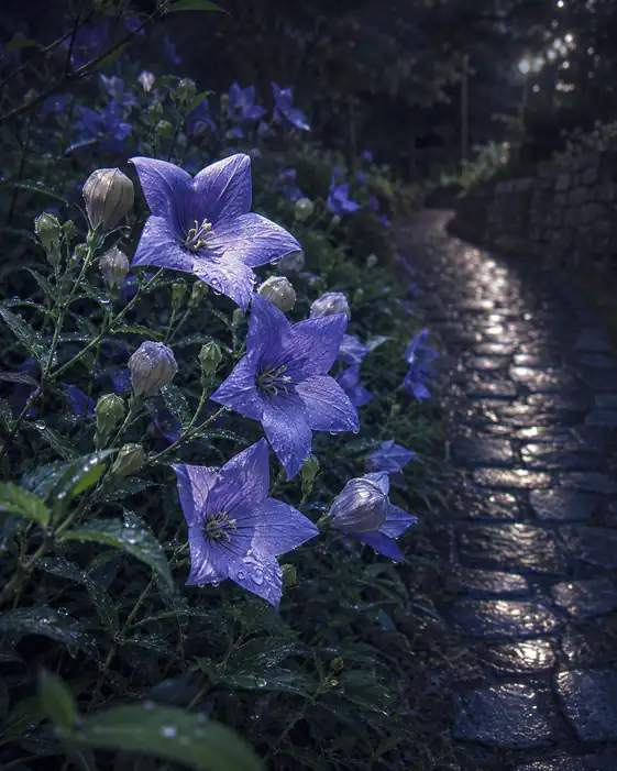 Moonlit Wet Cobblestones and Bellflowers Blooming in the Shadows