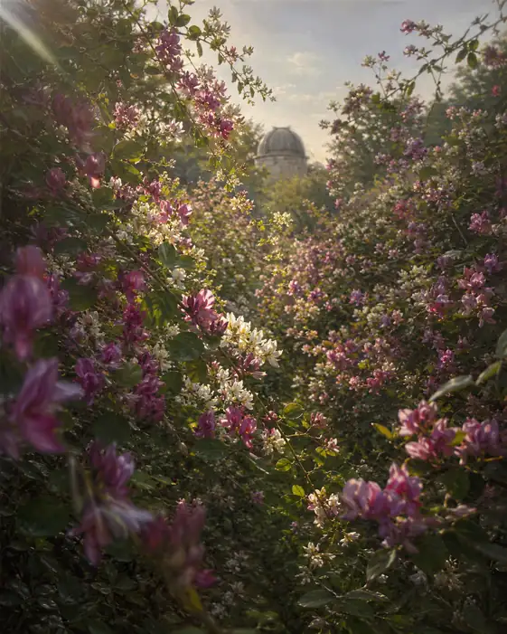 Sunlit Bush Clover Corridor and the Starlit Dome
