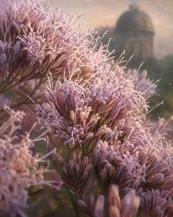 Twilight Thoroughwort and the Hazy Dome Silhouette