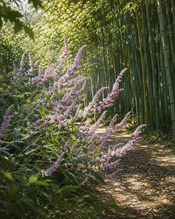 Komorebi in Bamboo Path and Pale Violet Amethyst Sage