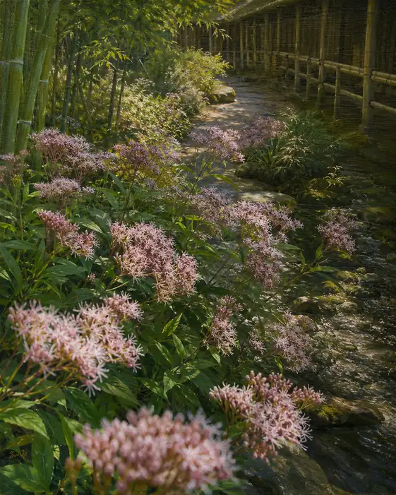 Autumn Scent by the Whispering Bamboo Stream