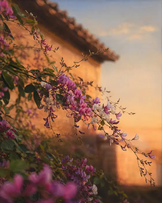 Bush Clover Cascading in the Sunset Glow