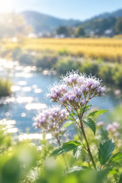 Golden Fields and Whispering Waters