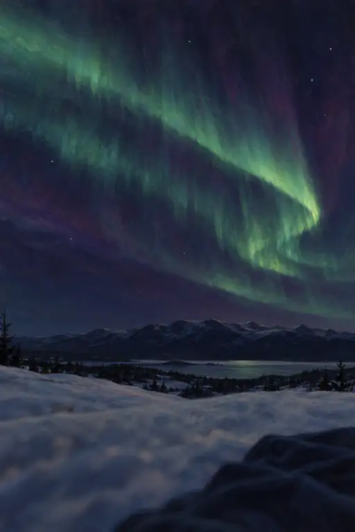 The Night Breathes in Green