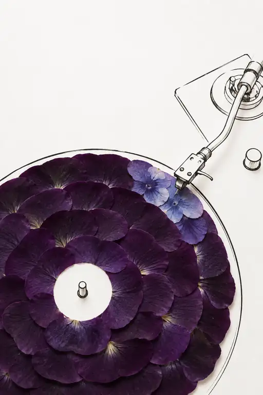 The Violet Echo of Remembering