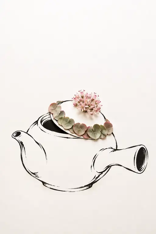 A Small Spring Beneath the Lid