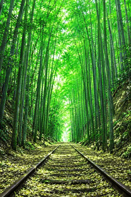 Toward the Green Light
