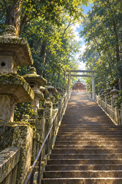 Whispering Lanterns of the Cedar Stair